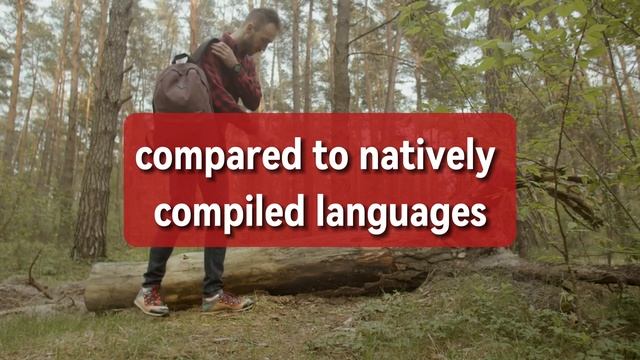 Advantages and Disadvantages of Java - Progamming Language Review смотреть онлайн
