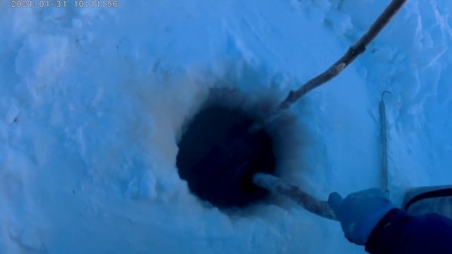 Проверка крючков на налима 31 01 2021 смотреть онлайн