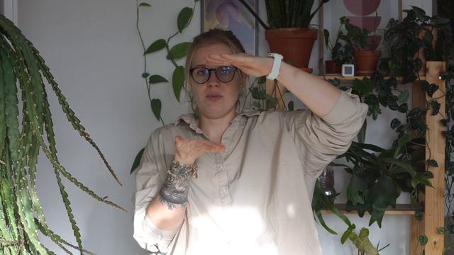 💸🌷 Pierwsze zakupy w tym roku! Sansewierie, philodendron, epipremnum i anthurium смотреть онлайн
