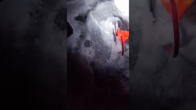 Первый лед ❄2023-2024 ❄Ловля на жерлицы, оставили жерлицы на ночь (щука ночью не ⛔клюёт) #рыбалка ? смотреть онлайн