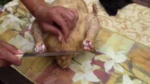 Разделать Бройлера от А до Я