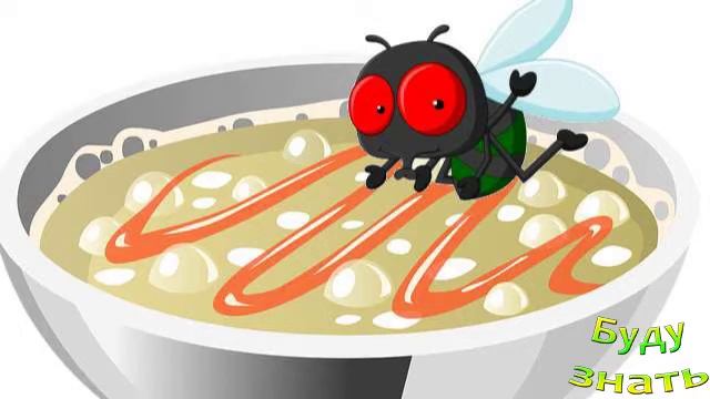 Что происходит с едой, если на неё садится муха? Можно Есть? смотреть онлайн
