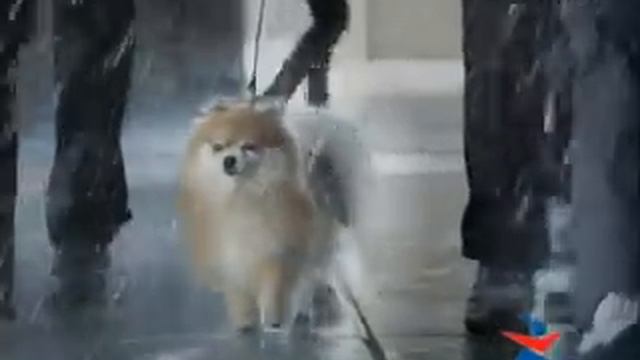 Спортмастер - с удовольствием вместе. смотреть онлайн