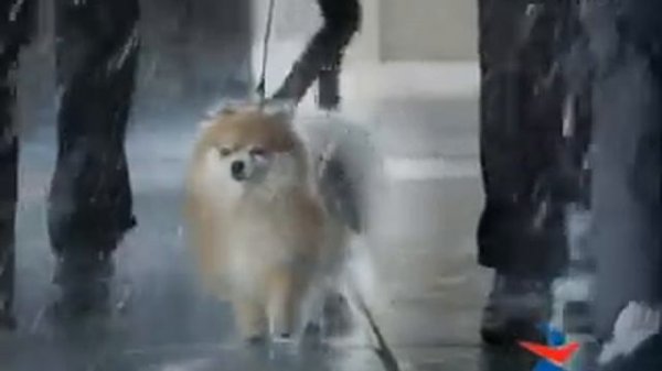 Спортмастер - с удовольствием вместе.