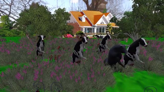 Groovy Cows ?: Mind-Blowing 3D Cow Dance Moves That Will Mooooove You! смотреть онлайн