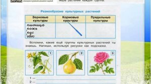 Задание 4 Растениеводство - Окружающий мир 3 класс (Плешаков А.А.) 2 часть