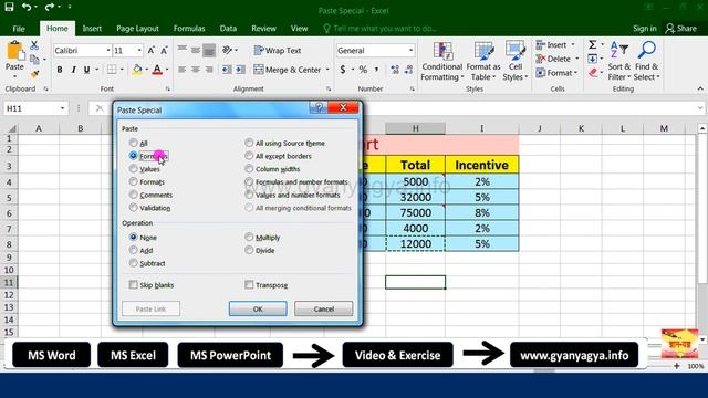 Using Paste Special To Copy Format, Formula, Values & its Shortcut Key In Excel In Hindi – Lesson 2 смотреть онлайн