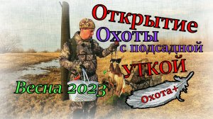Открытие весенней охоты 2023 На селезня с подсадной уткой