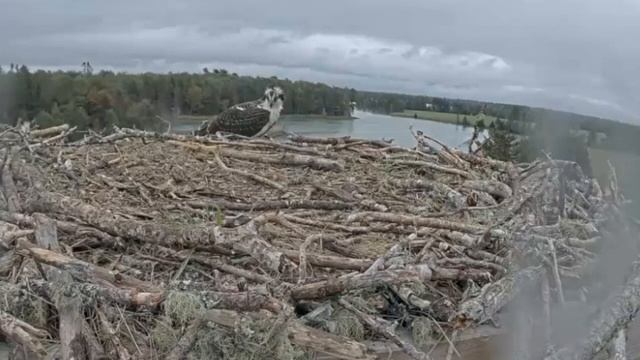 Как распознать признаки обострения психического расстройства смотреть онлайн