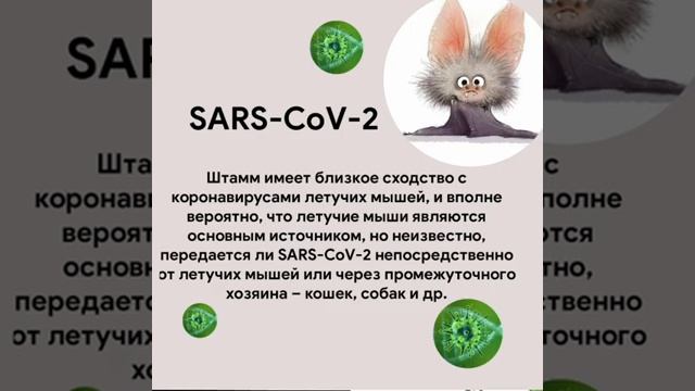 Ответы на актуальные вопросы по COVID-19.mp4