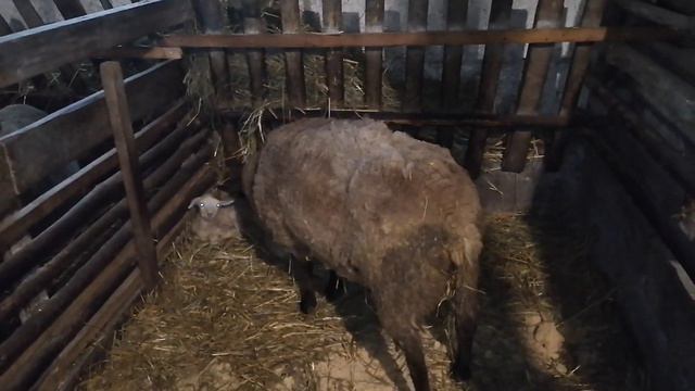 Рождество в деревне . Ждём Новый год. смотреть онлайн