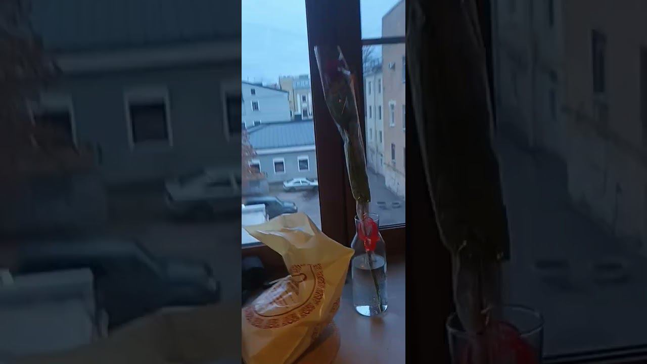 ГОСУДАРЬ ПРИНИМАЕТ ГОСТЕЙ В САНКТ-ПЕТЕРБУРГЕ, ЖИВЯ РЯДОМ С ДОМОМ ГРИГОРИЯ РАСПУТИНА НА ГОРОХОВОЙ! смотреть онлайн