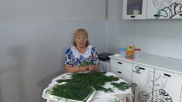 Букет из укропа ценный подарок в старину. А что сейчас мы делаем с укропом? Заготовка. смотреть онлайн