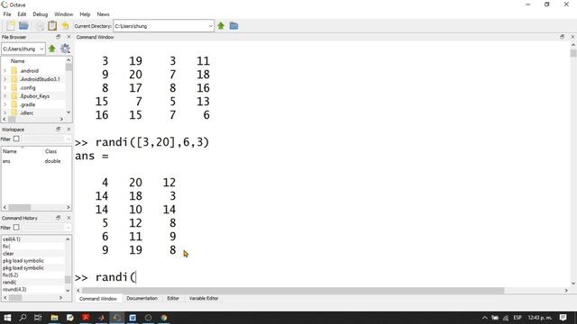 MATLAB/OCTAVE: Función randint (randi): Ejercicio Resuelto смотреть онлайн