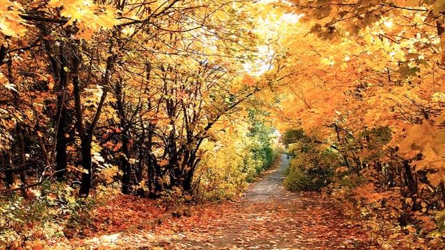 «Осенняя пора, очей очарованье…» смотреть онлайн