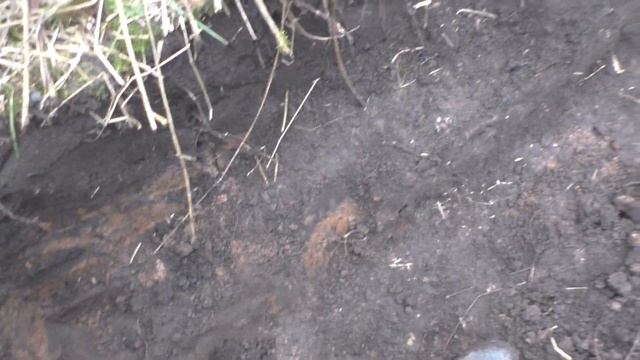 #ШУРФ / НОВЫЙ ШУРФ НА СТАРОМ МЕСТЕ - РАЗНООБРАЗИЕ УДИВИЛО!