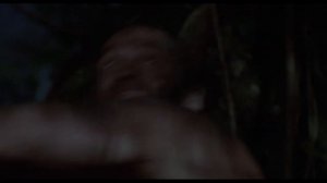 Ну ты и УРОД. Хищник.