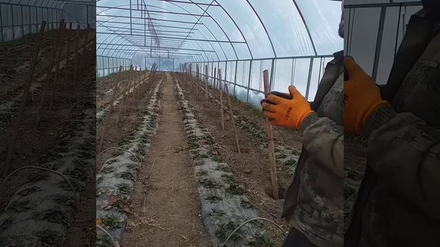 строим вторую малообьемку на мин.вате смотреть онлайн