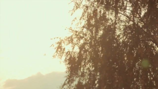 "Отряд самоубийц" - квест №1 Киеве смотреть онлайн