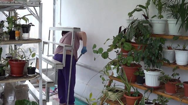 МОЯ МЕЧТА НЕ СБЫЛАСЬ / ВОТ ТАКОЕ ВОСЬМОЕ МАРТА смотреть онлайн