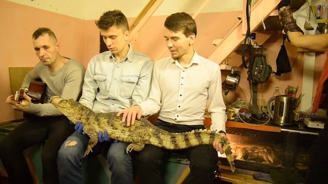 Самое последнее видео на канале. смотреть онлайн