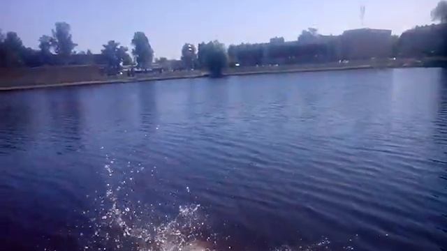Отдых в Колтушах. смотреть онлайн
