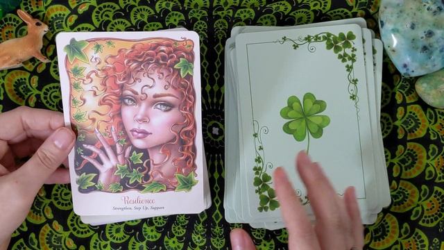 Faery Temple Oracle by Suzy Cherub and Christine Karron ? Oracle Card Reading and Review смотреть онлайн