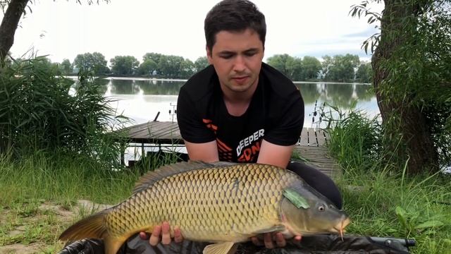 Трофейные карпы на флэт метод | Ловля карпа на озере Вовкове смотреть онлайн