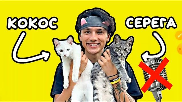 Младший Муфаса спел: Песня про котят - Holy Baam (Серёга и Кокос) @HolyBaam заметь пж