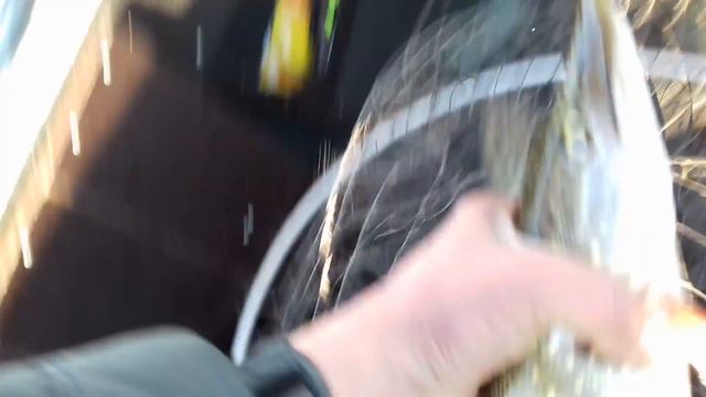 рыбалка на Днепре 2019 смотреть онлайн