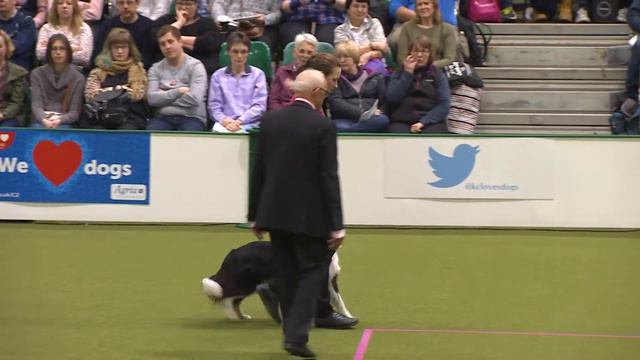 Obedience - Bitch Championship - Part 18 | Crufts 2018