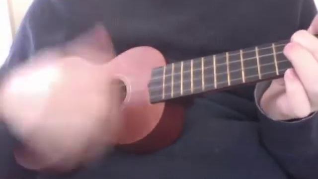 Falling Slowly - Ukulele Cover смотреть онлайн