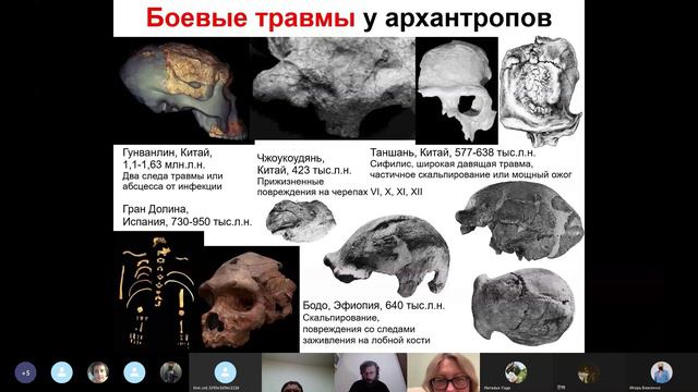 Станислав Дробышевский. Эволюция войны. смотреть онлайн