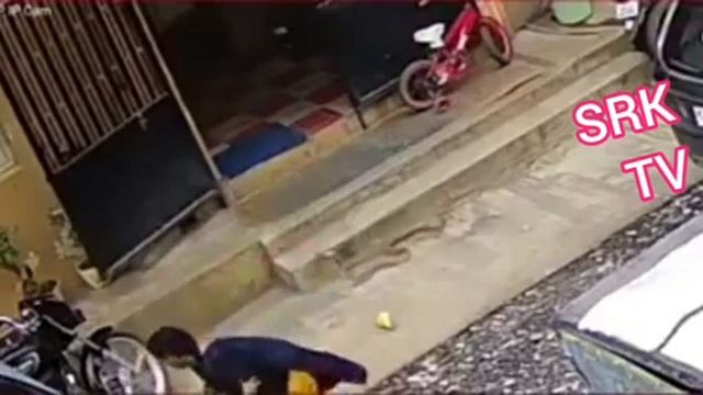 Mother saves boys life. смотреть онлайн