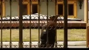 Джем Евгений Васин