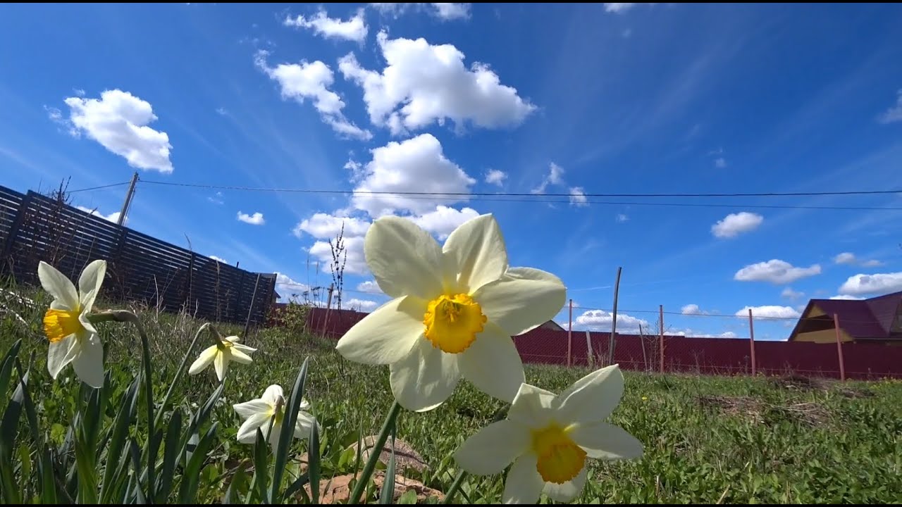 173. Майские смотреть онлайн
