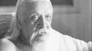 Сатпрем. Шри Ауробиндо или Путешествие Сознания. Глава 1