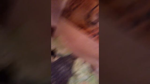 животные белых ходоков смотреть онлайн