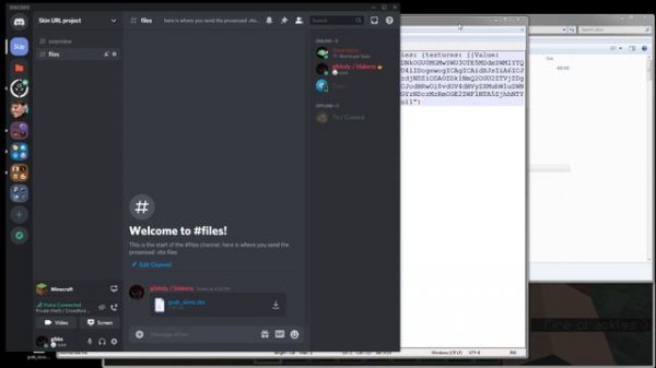 Minecraft - Skin URL project