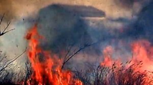 Как горит трава