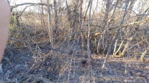 Обзор, как металлоискатель TX 850 реагирует на разные металлы и металлокоп