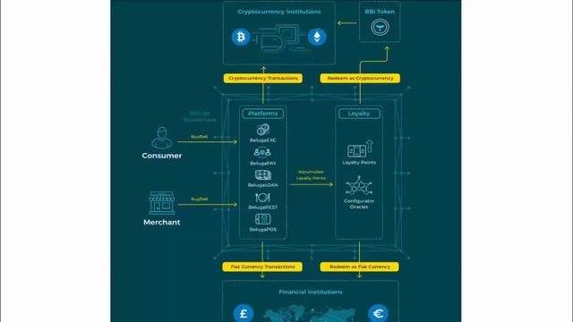 Beluga Pay #ICO смотреть онлайн