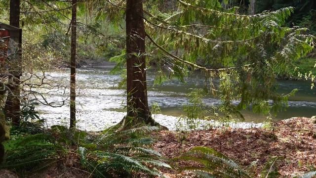 Kannagara Aikido Natsu Geiko (2022) смотреть онлайн