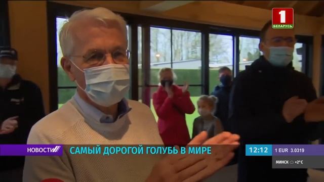 самый дорогой голубь в мире ! смотреть онлайн