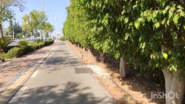 Въезды в Петах Тикву - визитная карточка города - Израиль . смотреть онлайн