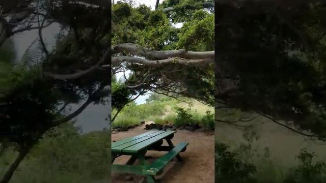 Kauai, Island adventures 2017(24) смотреть онлайн