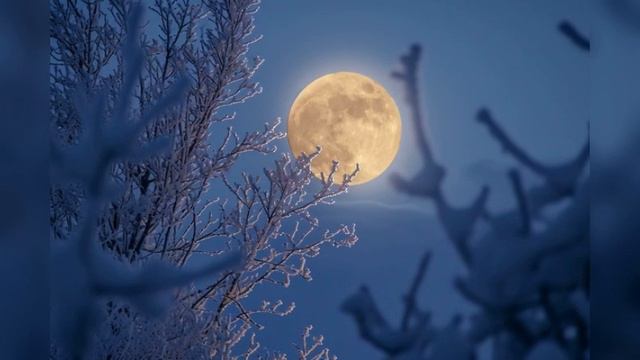 Неблагоприятные и благоприятные дни в январе 2024 года: что нельзя делать. смотреть онлайн