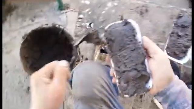 Ассорти. Пикирую Арбузы и дыни по своему. смотреть онлайн