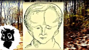 3 САМЫХ СТРАШНЫХ ГОРОДСКИХ ЛЕГЕНДЫ [Черный кот]