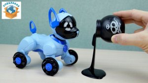 СМОЖЕТ?? РОБОТ ПРОТИВ ЛИЗУНА!! ЧИППИ ИНТЕРАКТИВНАЯ ИГРУШКА ЩЕНОК WOWWEE | СПЕЦЗАКАЗ